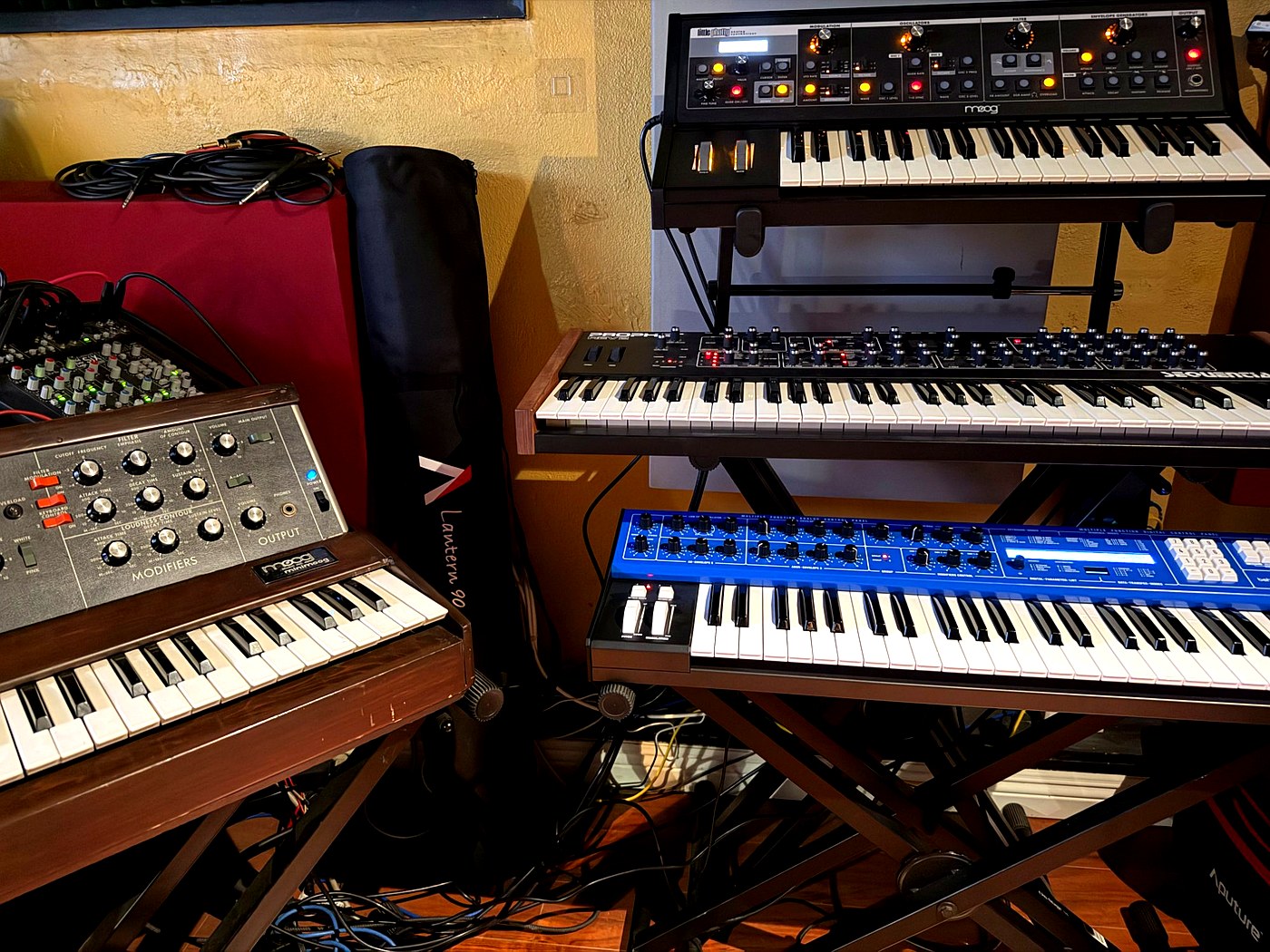 Moog Synths
